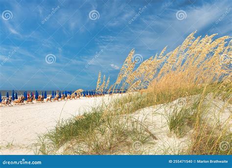 Hilton Head Island South Carolina Beach Vacation Stock Photo - Image of ...