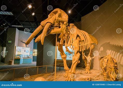 Interior View of the Denver Museum of Nature and Science Editorial ...