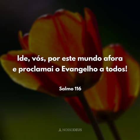 Frases De Salmos Para Glorificar E Bendizer As Maravilhas Do Senhor