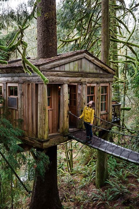 Washington Gallery: Treehouse Point in Fall City - 1889 Magazine