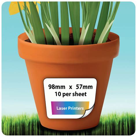 Printable Plant Labels