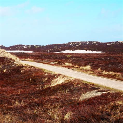 Sylt Strand Und Dünen On Behance