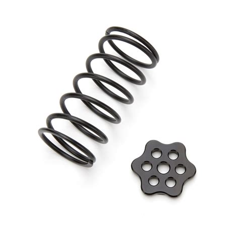 Tip4220 Master Cylinder Return Spring Kit Black Ti22 Performance