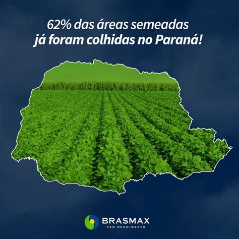 Colheita de soja 62 da área semeada foi colhida no Paraná BRASMAX