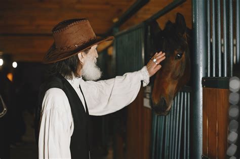 Tips for Horse Grooming – Improve Education