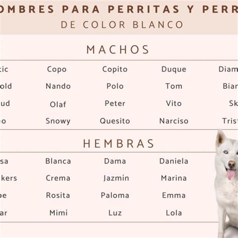 Introducir Imagen Nombres Para Perros Lobos Blancos Abzlocal Mx