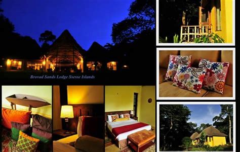 Brovad Sands Lodge, Accommodation in Ssese islands, Ssese islands ...