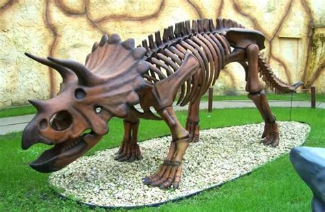 Triceratops - Description, Habitat, Image, Diet, and Interesting Facts