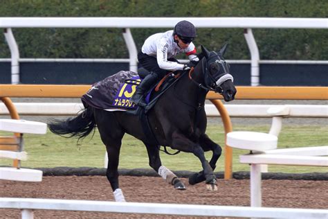 【高松宮記念】ナムラクレア悲願成就へオン、オフ覚えた、長谷川師「落ち着き出て大人になった」 競馬写真ニュース 日刊スポーツ