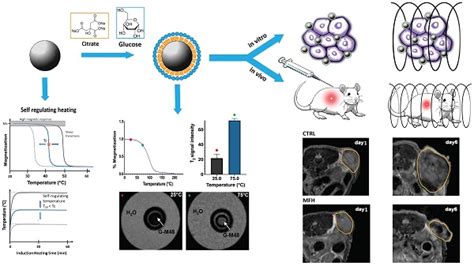 Nanoparticles Exhibiting Self Regulating Temperature As Innovative