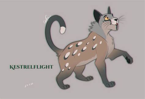 Kestrelflight Design Warriors Cats By Angeldalet On Deviantart