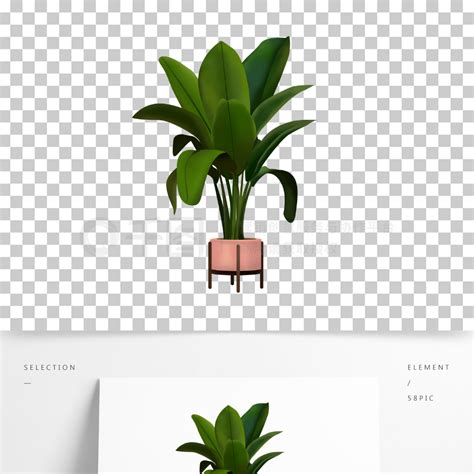家居盆栽植物素材模板免费下载psd格式2000像素编号39761876 千图网