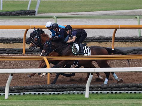 ヴェラアズール、宝塚記念2週前追い切り速報栗東トレセンニュース 競馬ニュース