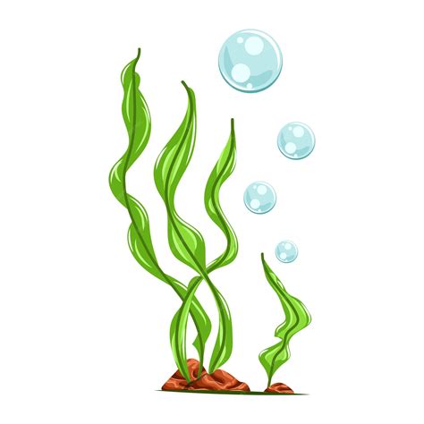 Premium Vector Cartoon Seaweed Illustration Isolated On White Background