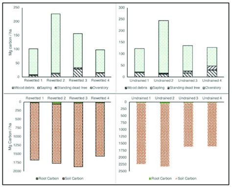 Aboveground Carbon Agc And Belowground Carbon Bgc Stocks Of The