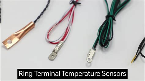 Focusens Odm Rtd Pt Temperature Sensors Probes With Npt Threads