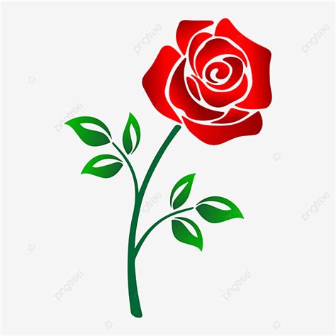 Hermosa Rosa Roja Aislada Sobre Fondo Blanco Ilustraci N De Vector De