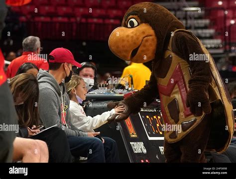 COLLEGE PARK, MD - FEBRUARY 17: Maryland mascot Testudo greets a young ...