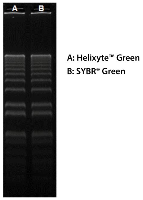 Helixyte Green Nucleic Acid Gel Stain X Dmso Solution Aat