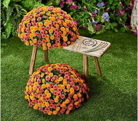 Wicker Park Single Faux Mum Indoor Outdoor Garden Sphere Qvc