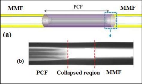 A The Smf Pcf Smf Sensor S Schematic Diagram B The Smf Pcf Fusing Download Scientific