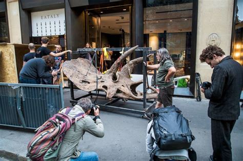 Lo Scheletro Del Triceratopo Big John All Asta A Parigi Vale Un