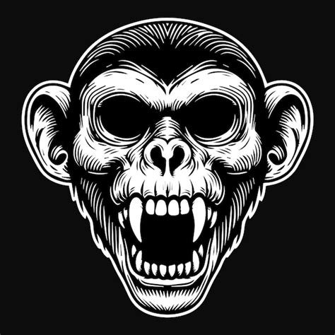 Premium Vector Dark Art Angry Beast Monkey Skull Head Black And White