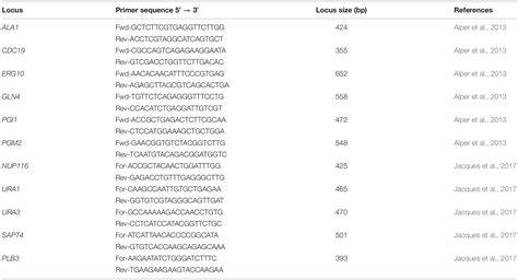 Frontiers Phenotypic And Genetic Characterization Of The Cheese