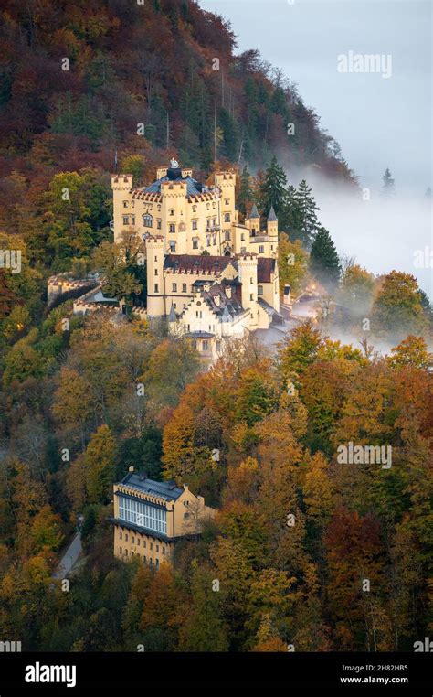 Aerial view of the Hohenschwangau Castle surrounded by mist in Germany ...