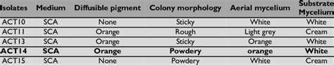 Morphology characteristics of the selected actinomycetes isolates ...