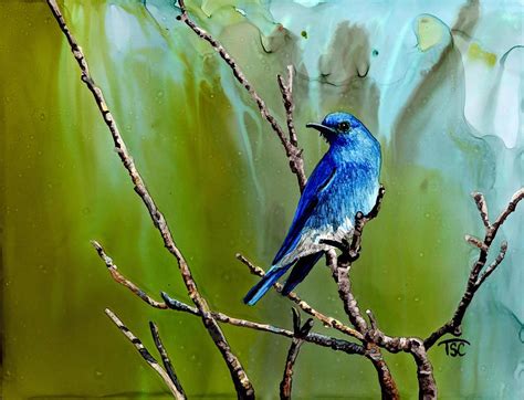 Bluebird Painting By Tammy Crawford Fine Art America