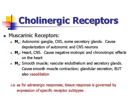 Signal Transduction By Adrenergic And Cholinergic Receptors Andy