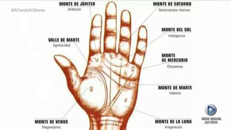 Quiromancia AdivinhaÇÃo Por Meio De Leituras De MÃos By Edu Scarfon Youtube