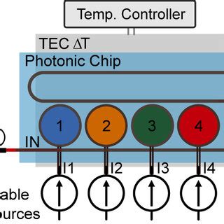 Experimental Setup Of An Optical Transmission Spectrum Measurement Of A