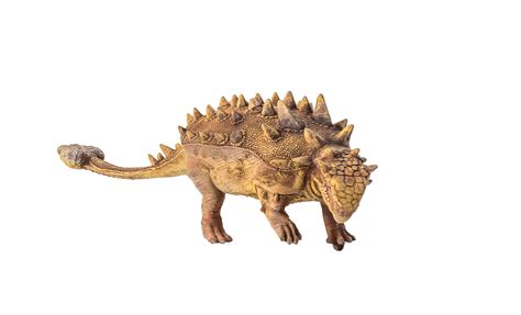 Ankylosaurus Dinosaur On Isolated Background Png