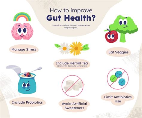 Free Vector Hand Drawn Probiotics And Prebiotics Infographic