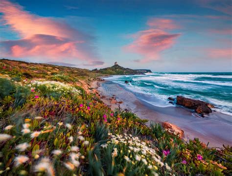 Ventosa Primavera In Sardegna Italia Europa Splendida Vista Mattutina