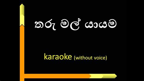 Tharu Mal Yayama Karaoke Song With Lyrics Youtube