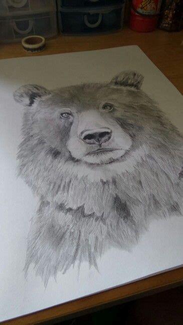 Pin By Kay Huff On Bear Themed Artwork Bear Paintings Bear Drawing