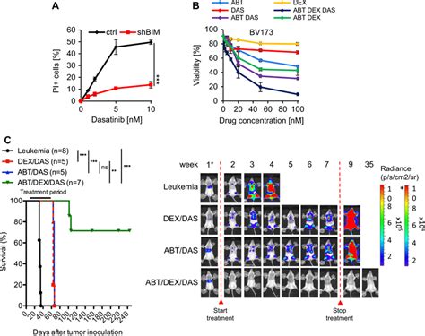 Curative Pharmacotherapy Of BCR ABL ALL With ABT 199 Dexamethasone