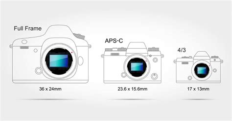 APS C Vs Full Frame Vs Micro 4 3 Is There A Difference