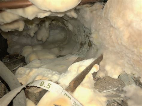 Dry Rot Advice For Homeowners Pca Property Guidance