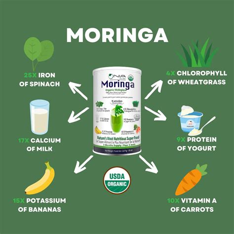 Organic Moringa Oleifera Leaf Powder (454g – 1 lb.) – Nia Pure Nature