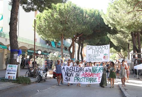 Lido Di Savio Alza La Voce No Allabbattimento Dei Pini Disegni Dei