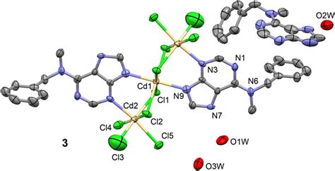 Ortep Plot Of Crystal Structure Of 3 With Atom Label Scheme Of The Download Scientific Diagram