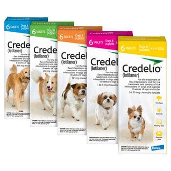 Credelio Vs NexGard - 2 Great Chewable Flea & Tick Preventions Compared!