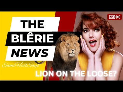 The Blêrie News Mayor of Tswane Lions on the loose Satirical news