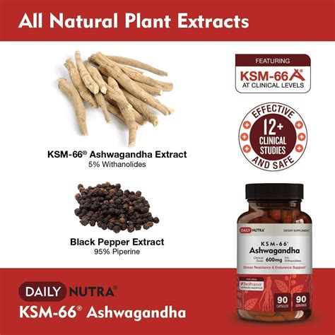 Ksm 66 Ashwagandha By Dailynutra 600mg Organic Root Extract High Potency Supplement With 5