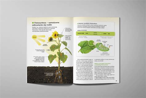 Biology – textbook :: Behance