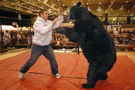 Is it illegal to wrestle a bear in Alabama? | WHNT.com